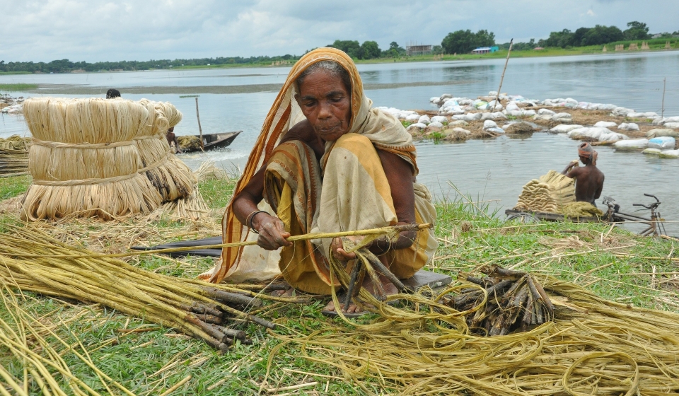 agriculture-5961022_1920